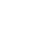 Twisted Spoke CBD